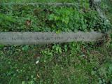 image of grave number 520069